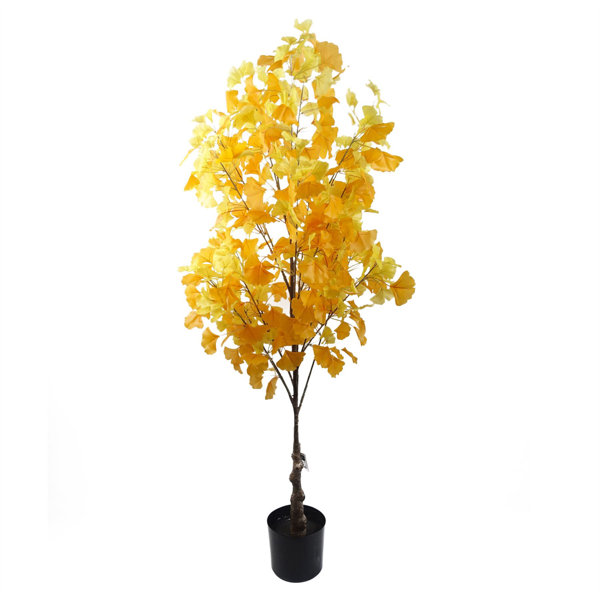 Die Saisontruhe Kunstbaum Ginkgo im Topf Wayfair.de
